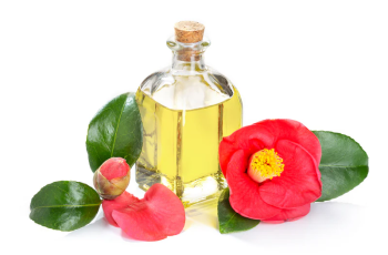 The Best Camellia Oil Skincare Products for Every Skin Type The Best Camellia Oil Skincare Products for Every Skin Type