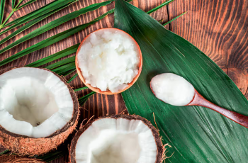 Everything You Need to Know About Caprylic/Capric Triglyceride in Skincare Everything You Need to Know About Caprylic/Capric Triglyceride in Skincare