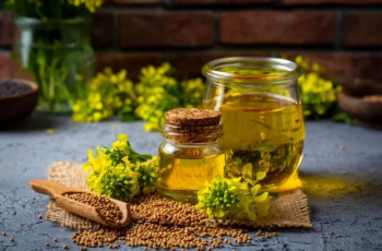 Exploring Canola Oil for Skin Care: Benefits and Risks