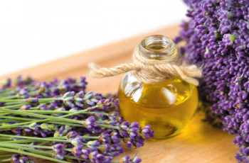 Lavender Oil Benefits and Risks: Essential Guide for Skin Care Lavender Oil Benefits and Risks: Essential Guide for Skin Care