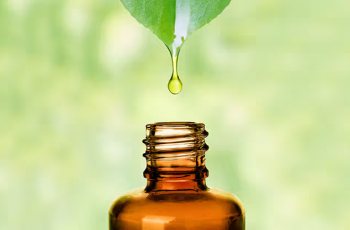 Dry Oils Explained: Lightweight Hydration Without the Greasy Feel Dry Oils Explained: Lightweight Hydration Without the Greasy Feel