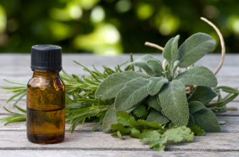 How Eucalyptus Oil Helps (and Hurts) Your Skin