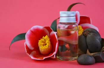 Discover the Skincare Benefits of Camellia Japonica Seed Oil Today Discover the Skincare Benefits of Camellia Japonica Seed Oil Today